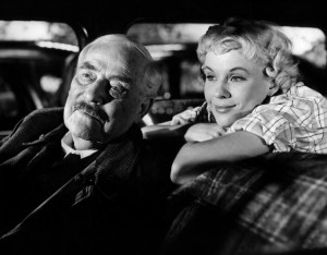 les-fraises-sauvages_278713_10351