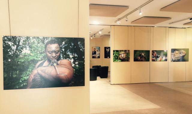 14502785_1451144231566643_6589510120510169585_n